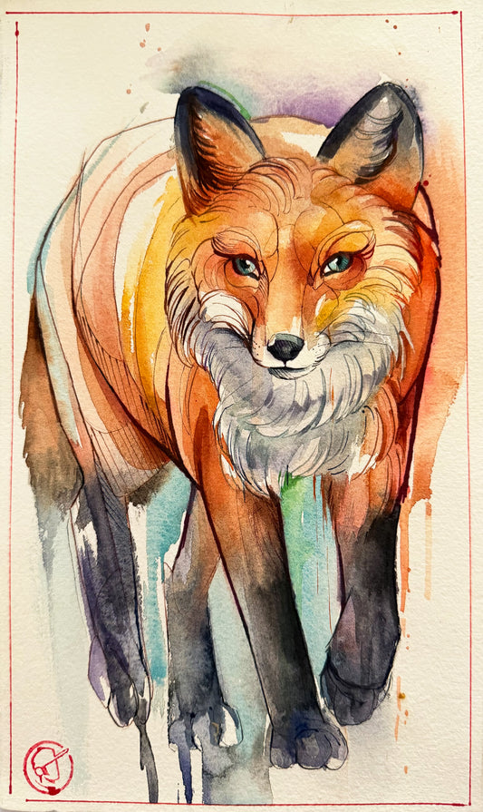 Fox